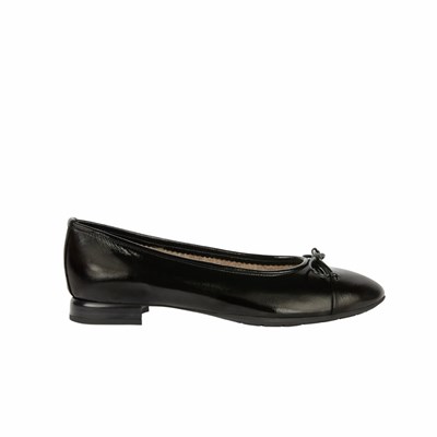 Brunate Lambskin Lined Ballerina Women's Flat Shoes Black | 87YVESMJG