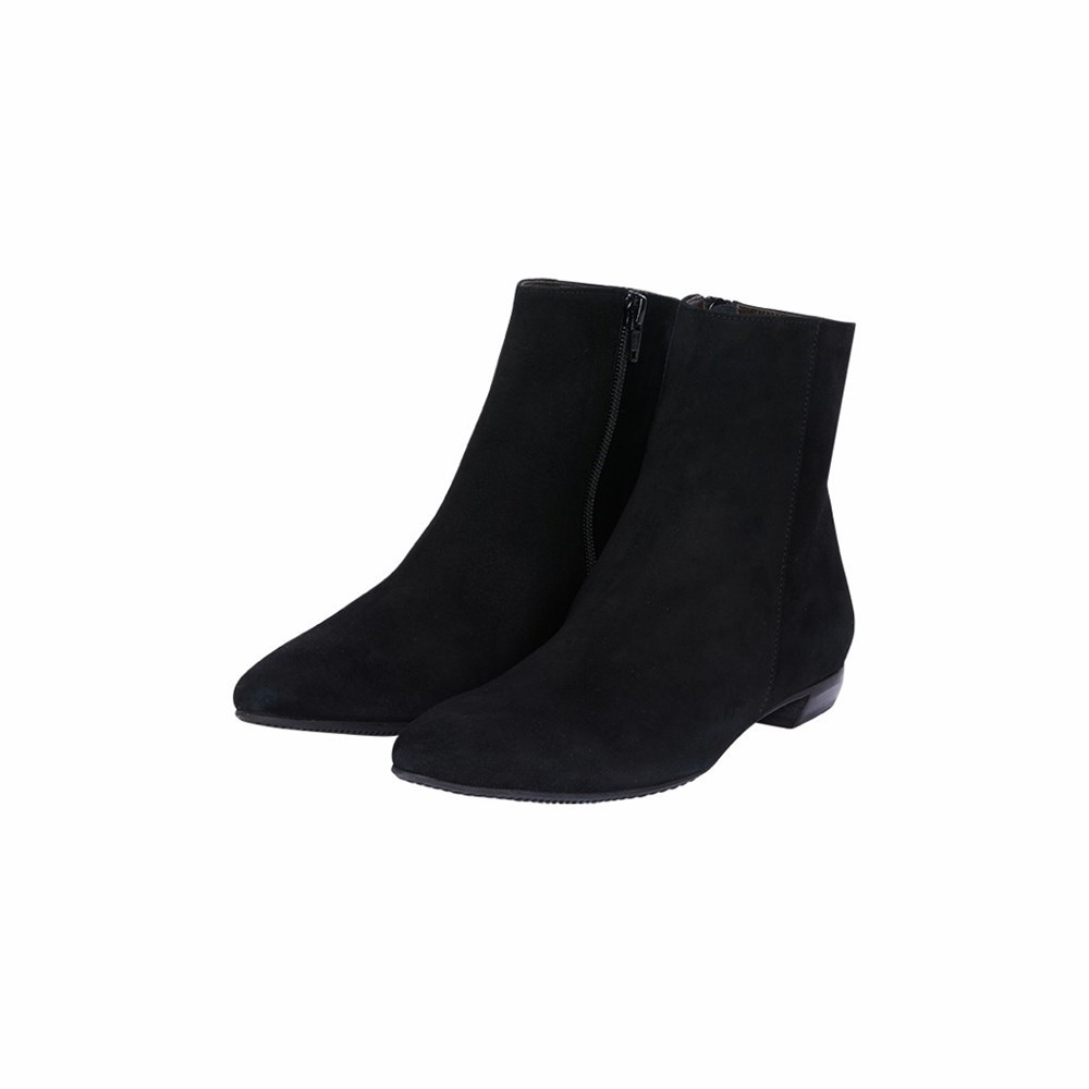 Brunate Pointy Women's Ankle Boots Black | 81LWFCBOT