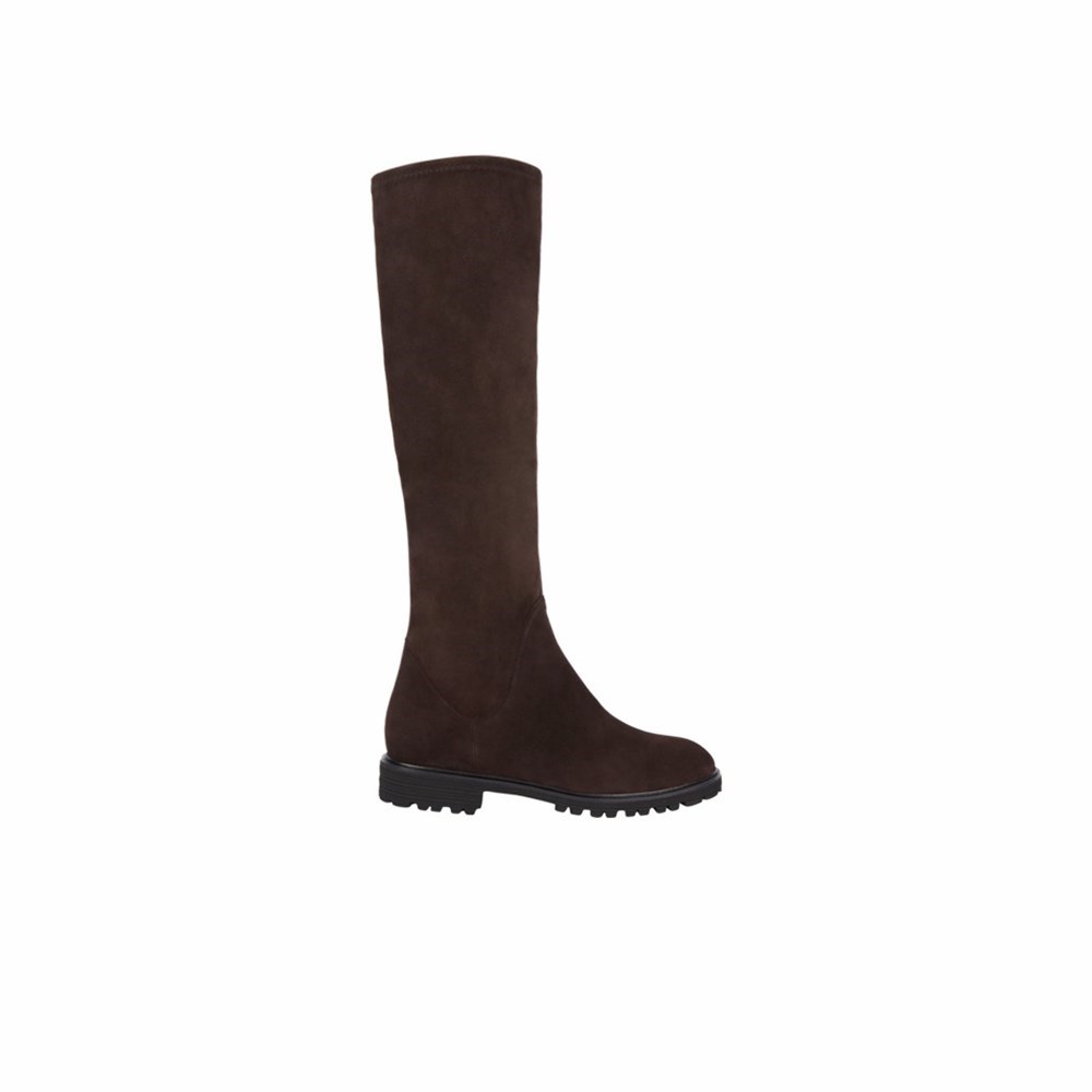 Brunate Sporty Stretch Boot Women's Knee High Boots Brown | 59BYOJCHN