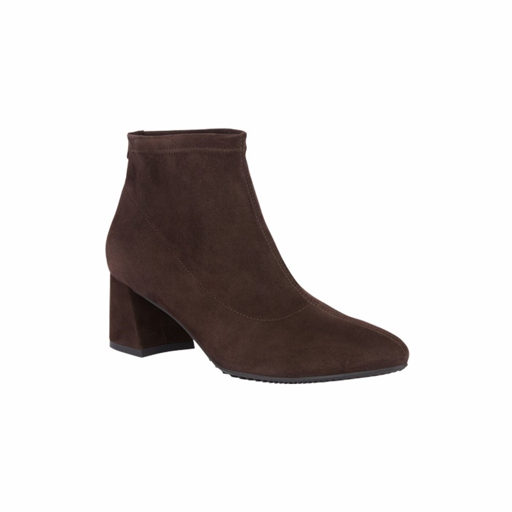 Brunate Stretch Booty Women's Ankle Boots Brown | 27ZBAEUXV