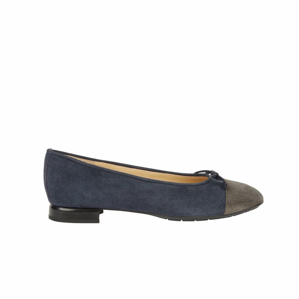 Brunate Two Toned Ballerina Women's Flat Shoes Navy | 74AUEKFOX