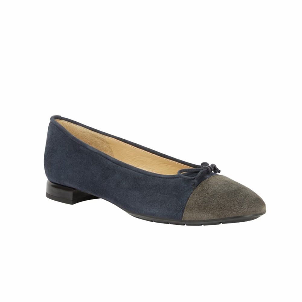 Brunate Two Toned Ballerina Women's Flat Shoes Navy | 74AUEKFOX